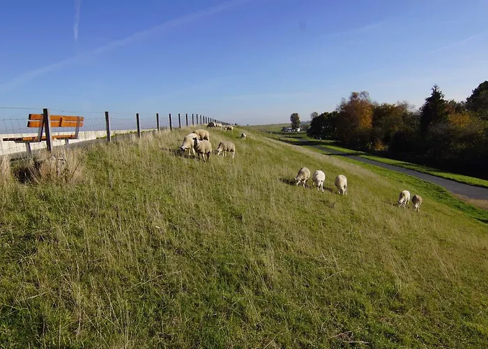 דירה Achter'd Diek, 45183